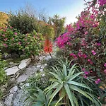 Lantana Stone House Lemona