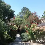 Lantana Stone House Lemona