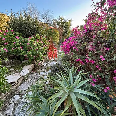 Lantana Stone House Lemona