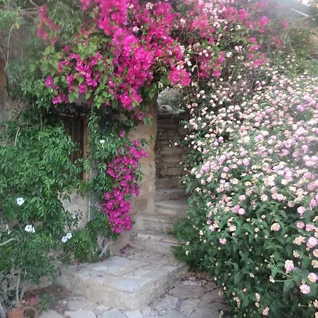 Lantana Stone House Holiday home